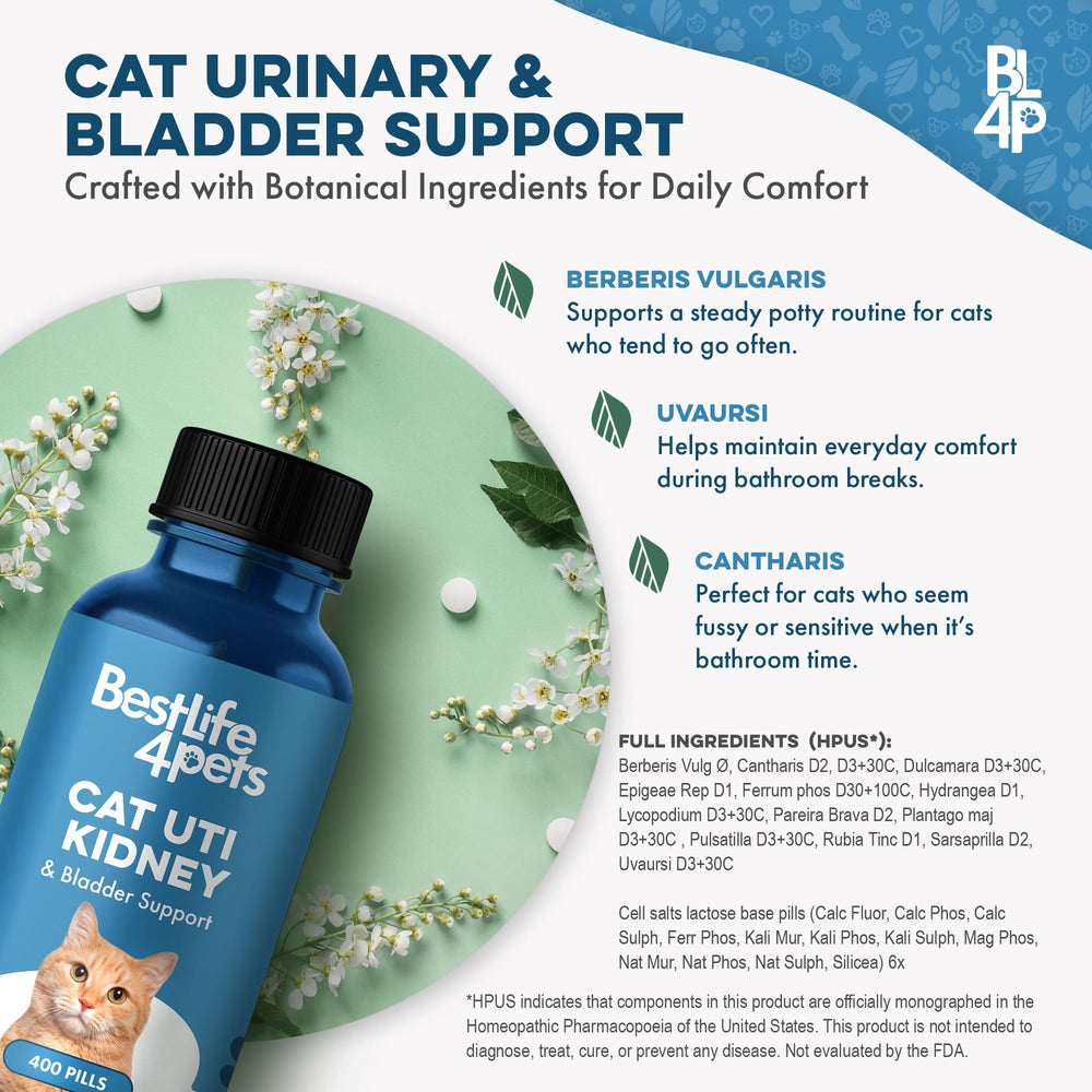 BestLife4Pets brand packaging displayed beside bottle for trusted supplementation.