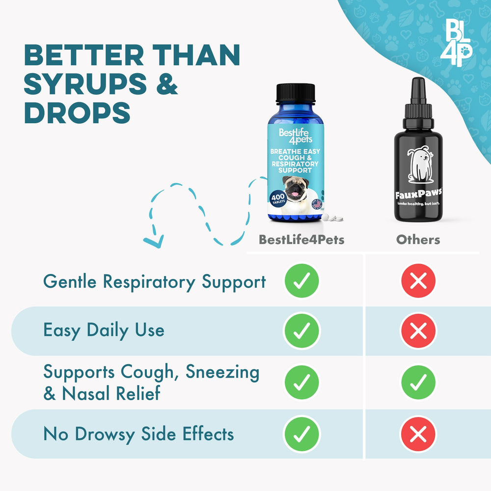 BestLife4Pets calm breath support to help during walks.