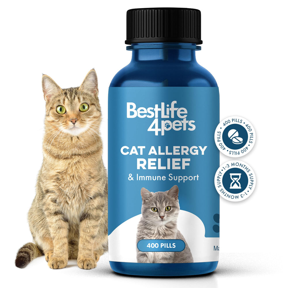 BestLife4Pets cat allergy relief bottle for easy daily immune support.