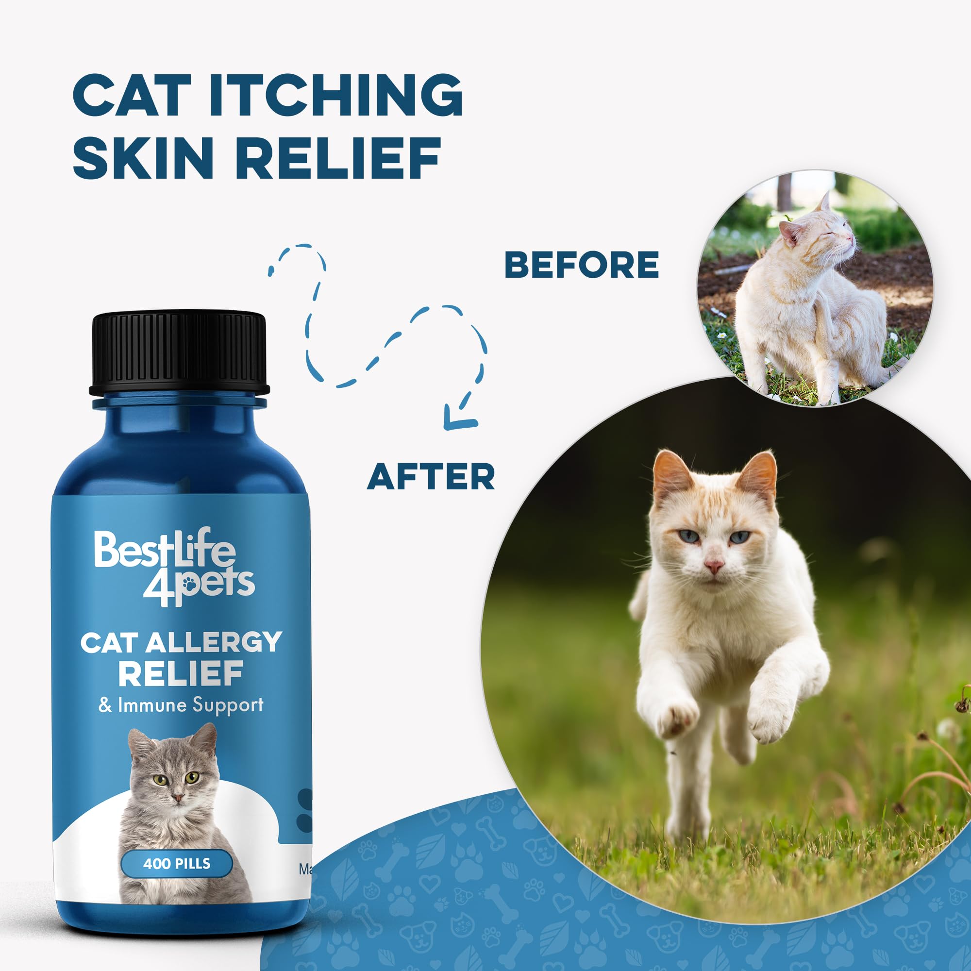 BestLife4Pets pills hidden in treats for fuss-free feeding.