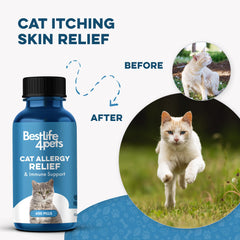 BestLife4Pets pills hidden in treats for fuss-free feeding.