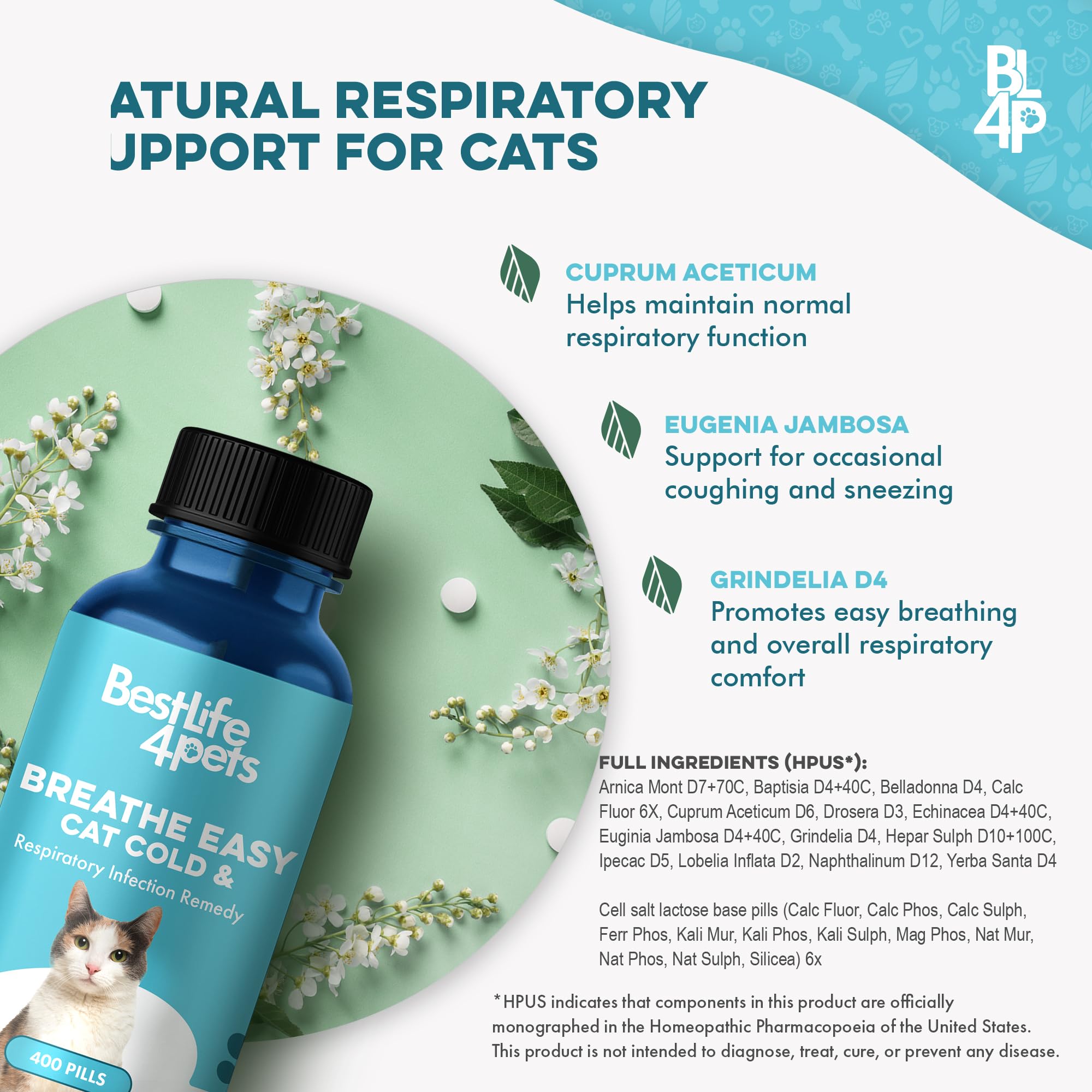 BestLife4Pets cat eating pill hidden in wet food for stress-free dosing.