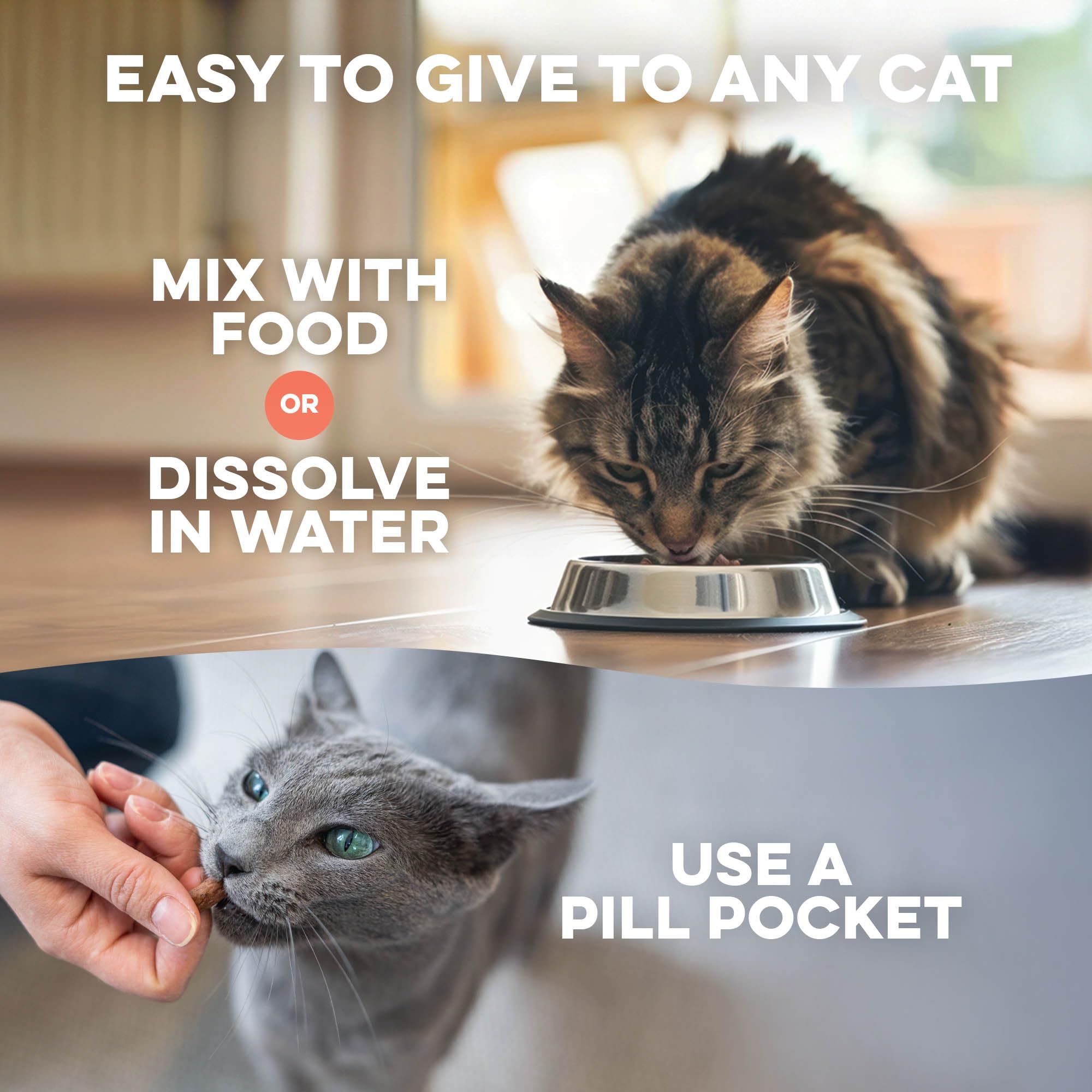 BestLife4Pets cat hair loss support capsules for a shinier coat.