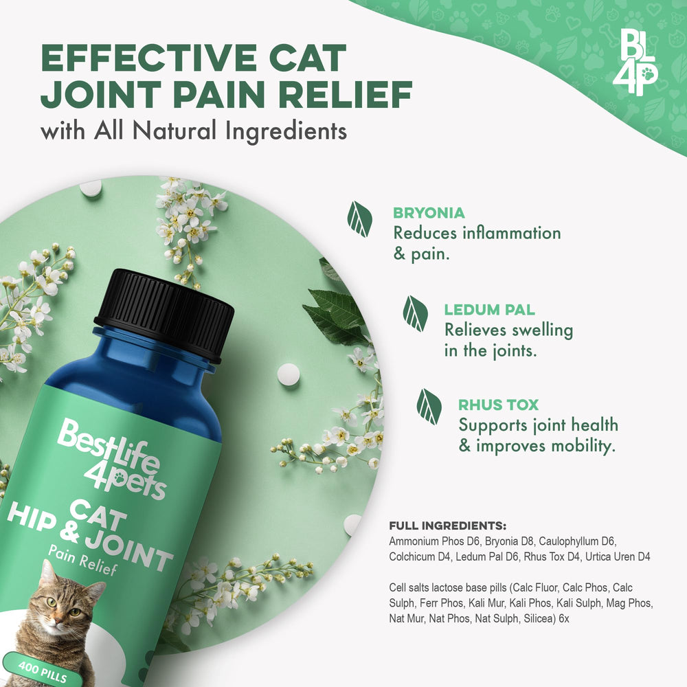 BestLife4Pets pills being sprinkled into cat food for easy dosing
