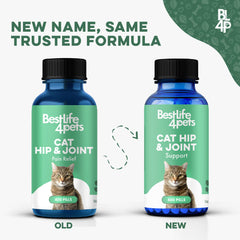 BestLife4Pets tasteless pills close-up for blending into meals