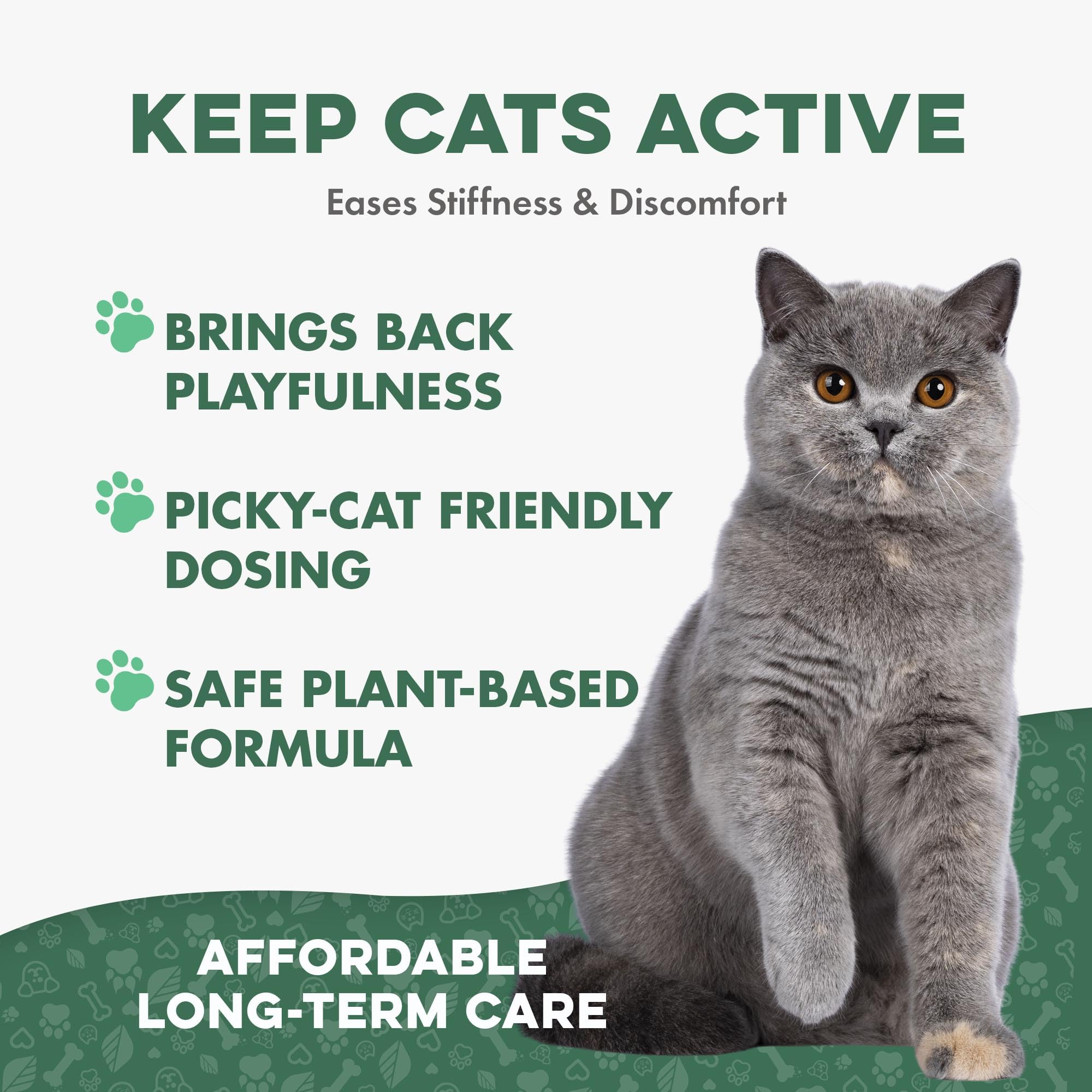 BestLife4Pets cat joint pills dissolving in water for easy dosing