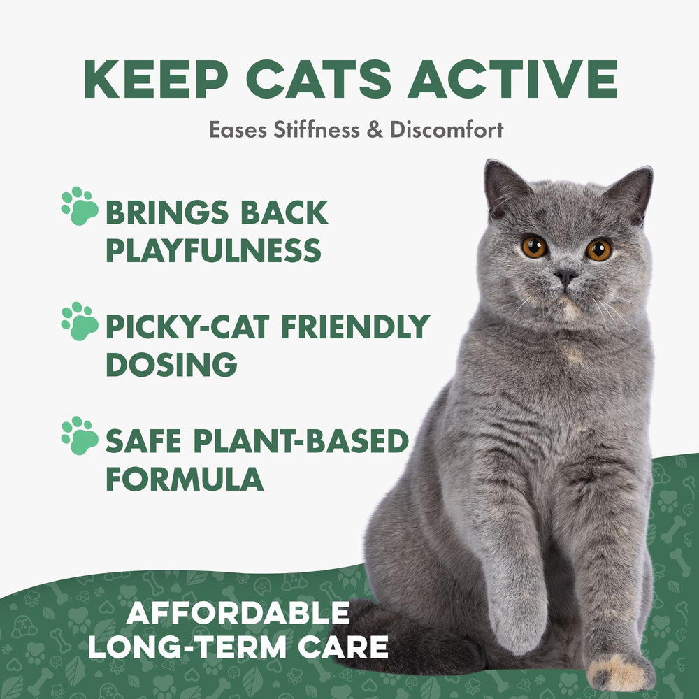 BestLife4Pets cat joint pills dissolving in water for easy dosing