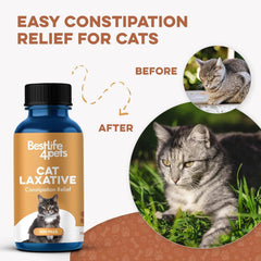 BestLife4Pets odorless cat laxative pills close-up for picky eaters.