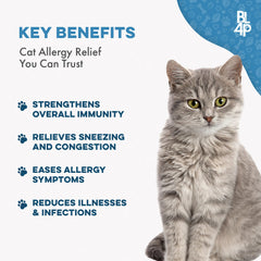 BestLife4Pets cat pills dissolve-in-water visual, gentle dosing for picky cats.