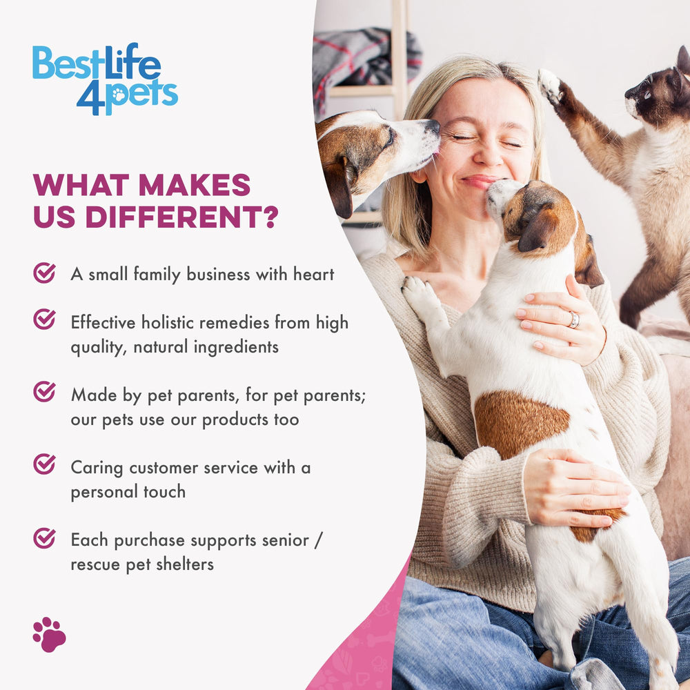 BestLife4Pets cat-restless pose suggests potential energy and daily comfort.