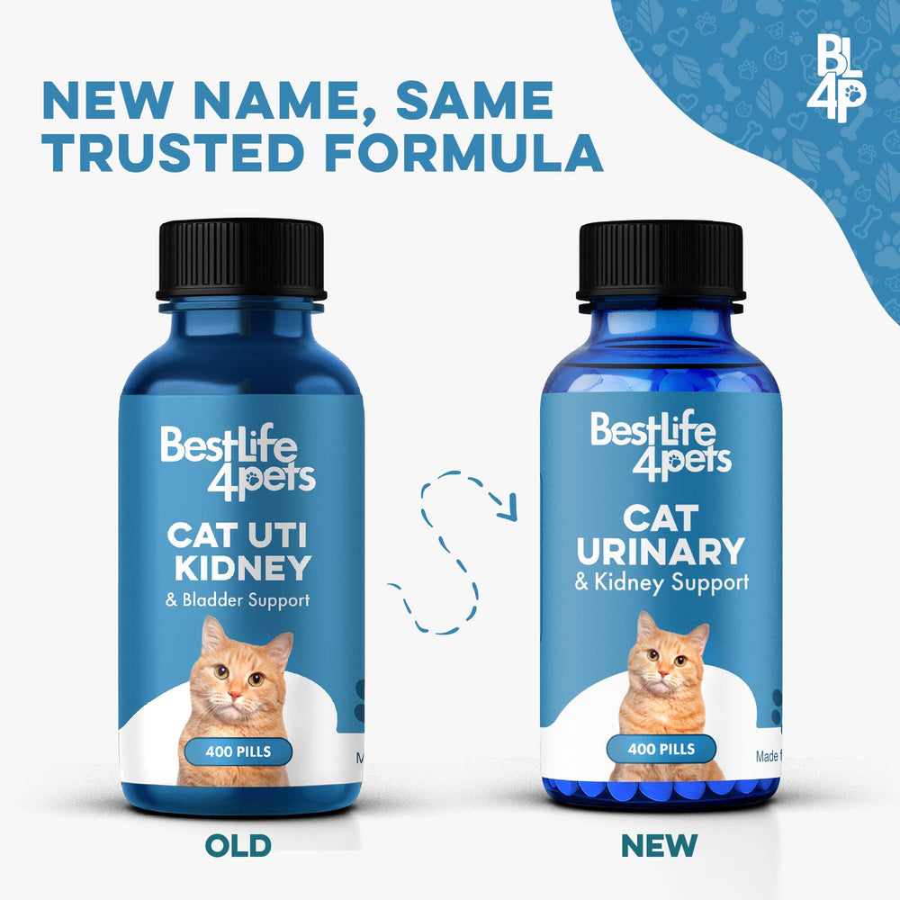 Close-up of BestLife4Pets Cat UTI Remedy bottle designed for home use.