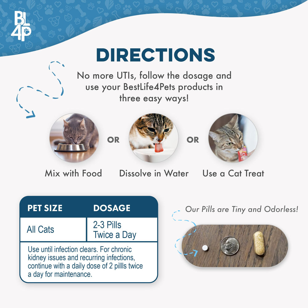 BestLife4Pets Cat UTI Remedy capsules ready to support urinary health.