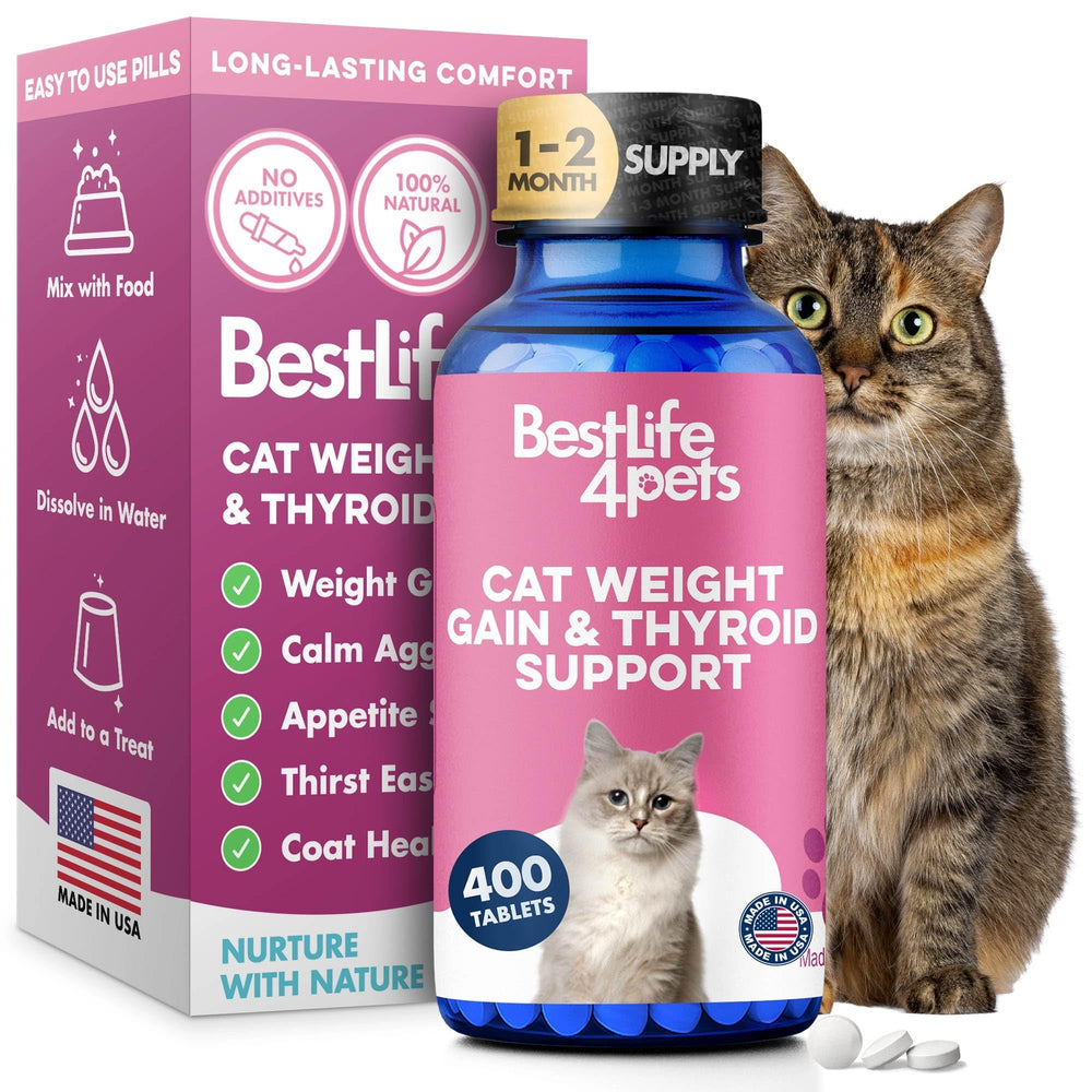 BestLife4Pets cat weight gainer bottle supports daily eating and coat health.