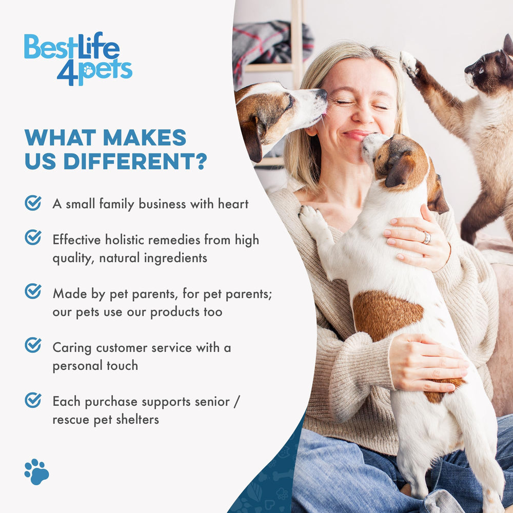 BestLife4Pets wellness packaging scene with logo and cat silhouette.