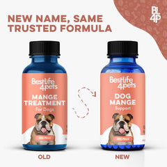 Dog displays a healthier coat after using BestLife4Pets.