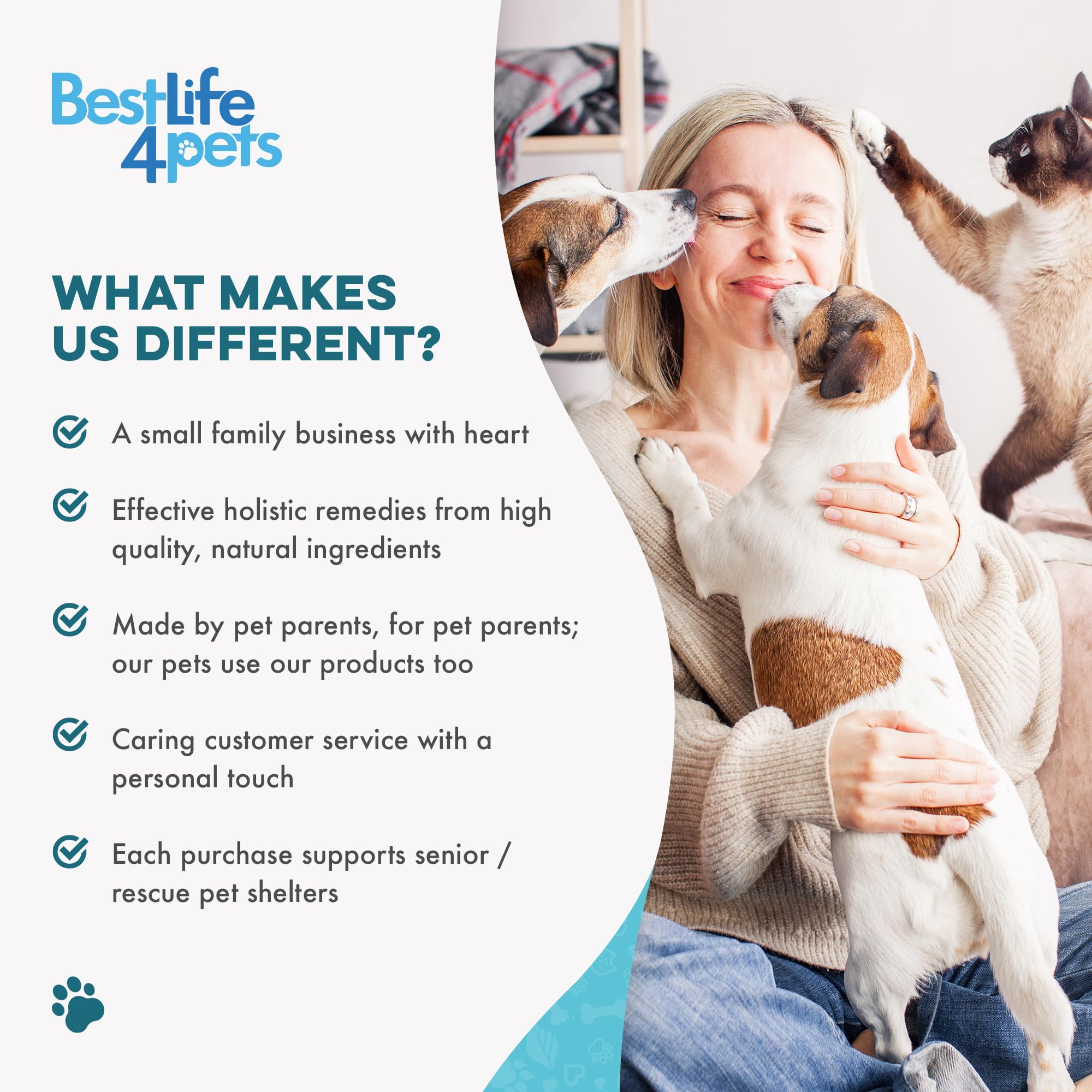 Complete BestLife4Pets eye health kit aimed at supporting vision.