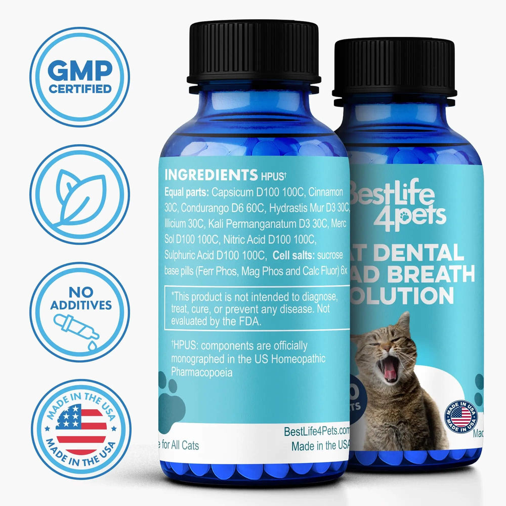 BestLife4Pets crushed-tablet powder for simple dental care.