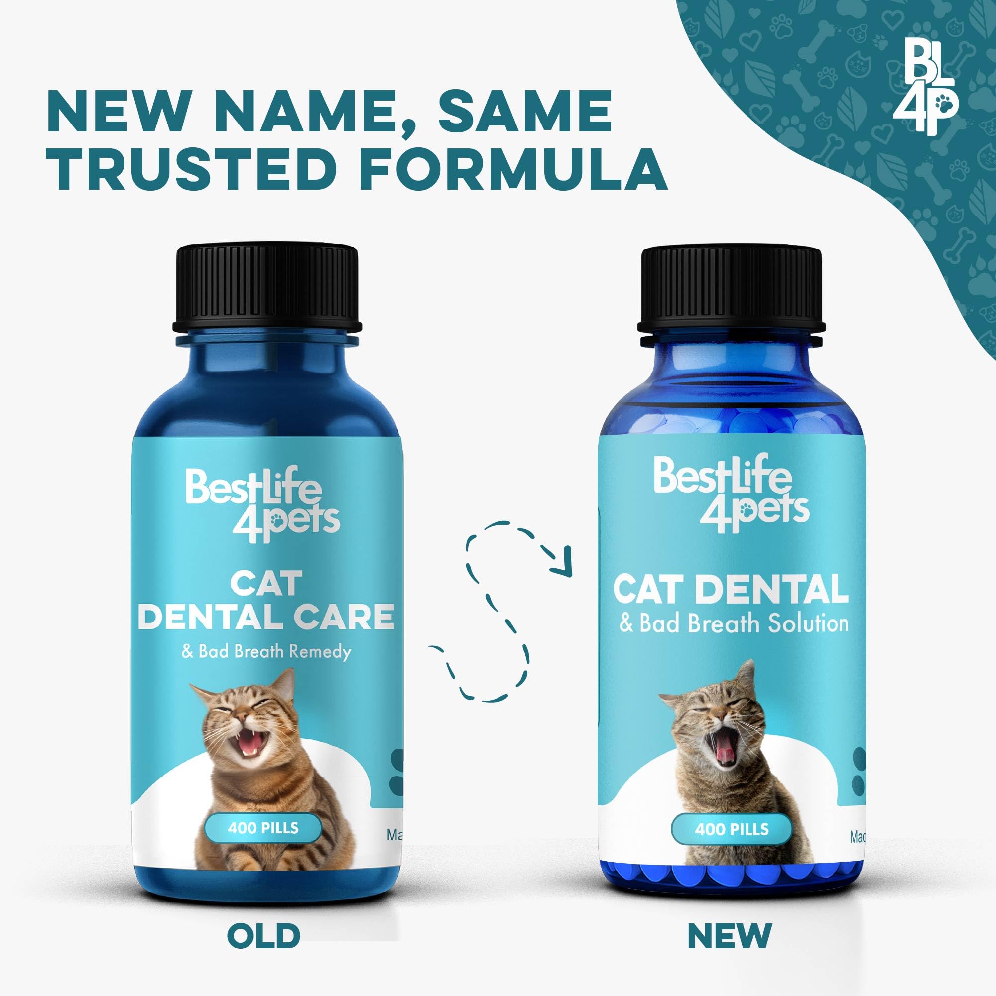 BestLife4Pets dissolvable tablets dissolving for stress-free ingestion.