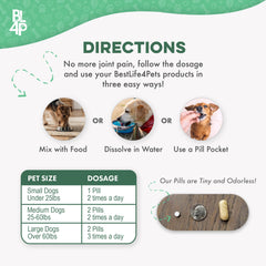 BestLife4Pets dog playing at park illustrating renewed vitality and comfort