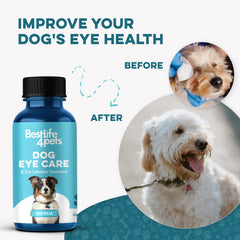 BestLife4Pets pills dissolving in water for easy dosing