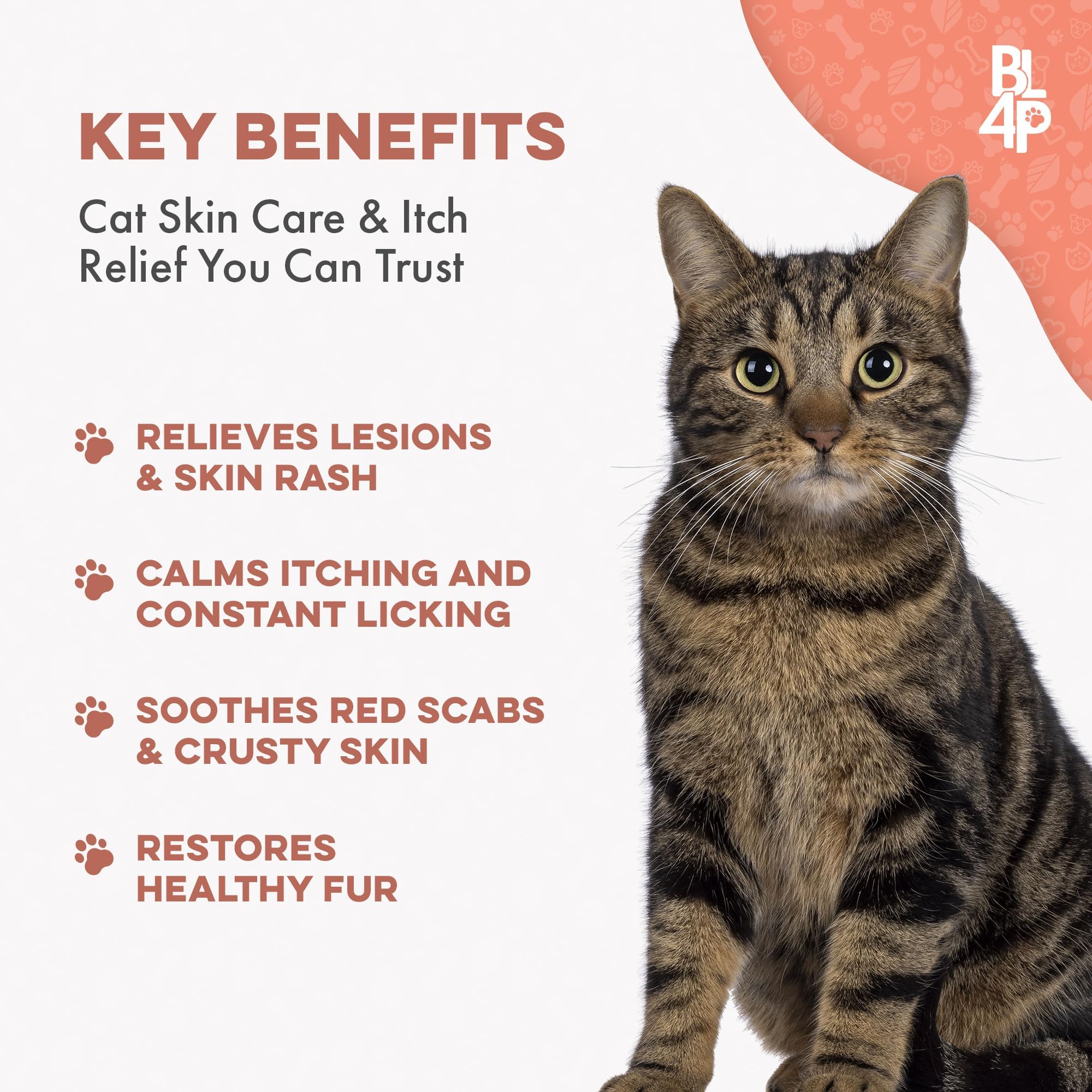 BestLife4Pets ear-mite-support pills, helps soothe ear irritation and calm itching.