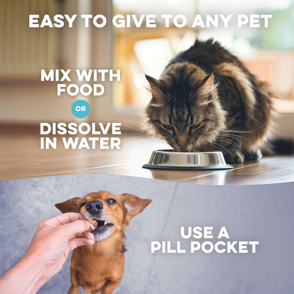 BestLife4Pets easy administration method shows pills can be hidden in treats or kibble.