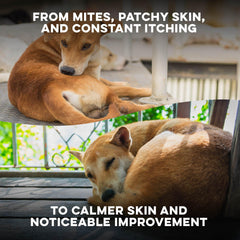 Pill can be hidden in treats for stress-free dosing with BestLife4Pets.
