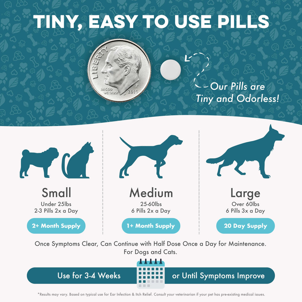 BestLife4Pets gluten-free non-GMO supplement supports pet health safely.