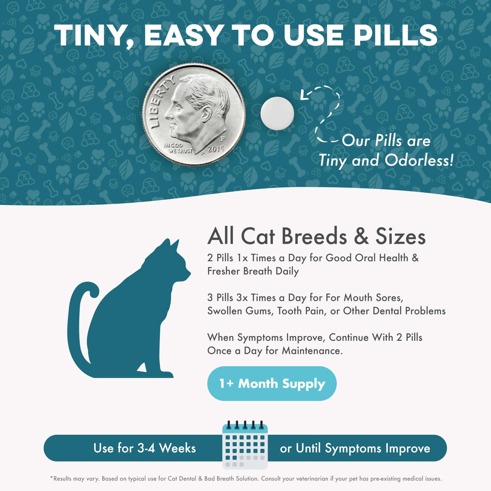 BestLife4Pets gum health focus for sensitive cat gums.