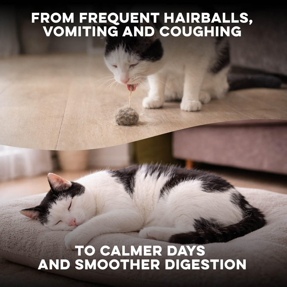 BestLife4Pets Hairball B-Gone bottle with clear dosing label for daily use.