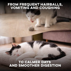 BestLife4Pets Hairball B-Gone bottle with clear dosing label for daily use.