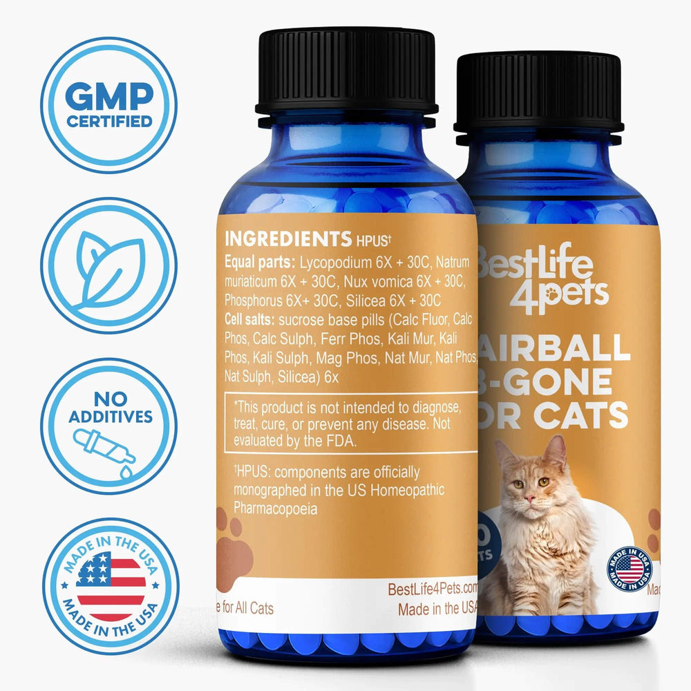 BestLife4Pets Hairball B-Gone digestive balance visual in product context.