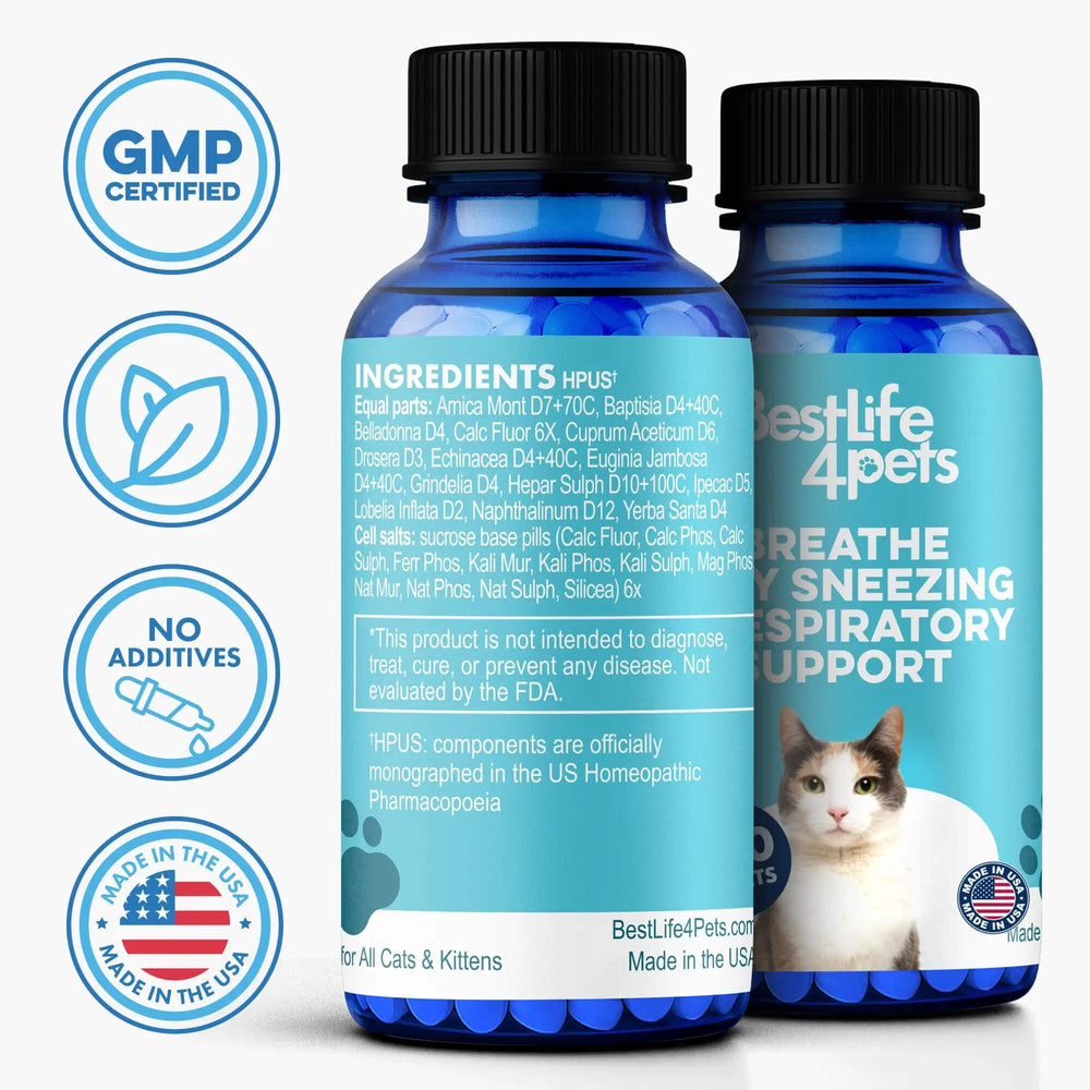 BestLife4Pets long-lasting supply ensures consistent daily routines.