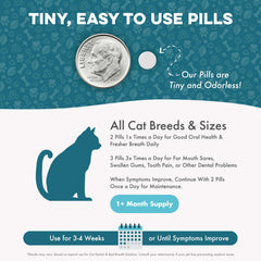 BestLife4Pets mix-with-food method simplifies daily dental routine.