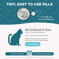 BestLife4Pets natural eye care ingredients in a capsule for clarity.