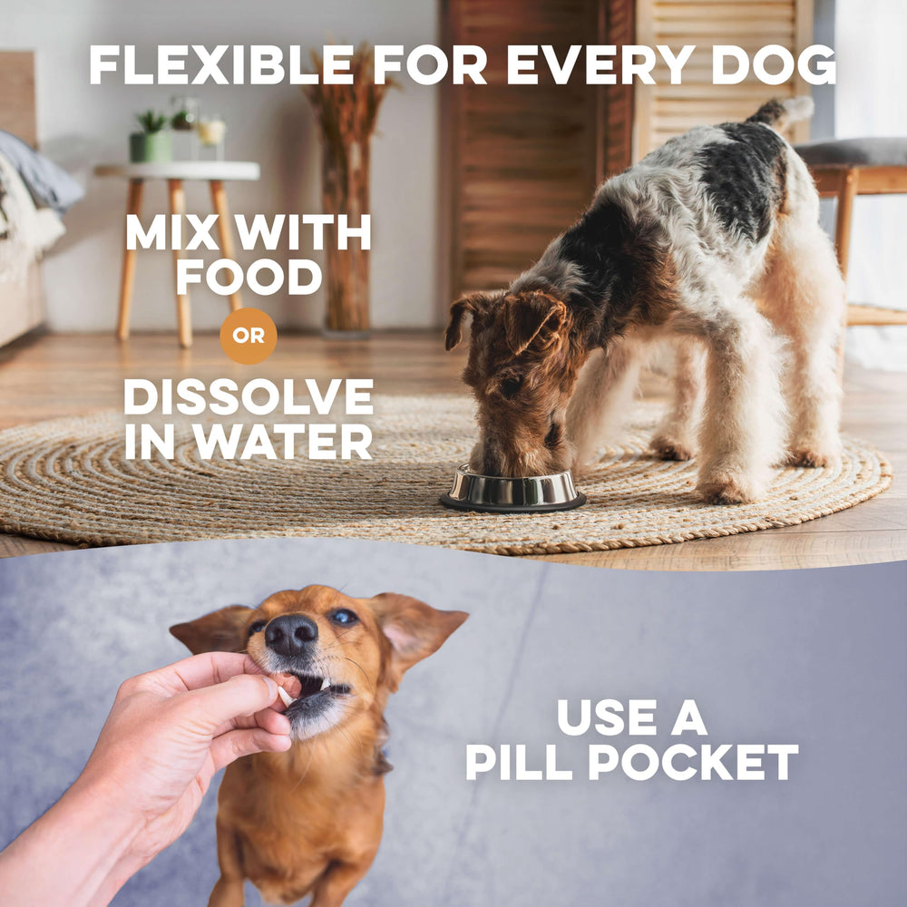 Natural ingredients blend from BestLife4Pets with herbs and plant-based actives.