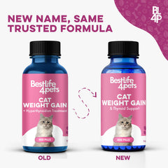 BestLife4Pets odorless pills close-up for easy daily dosing.