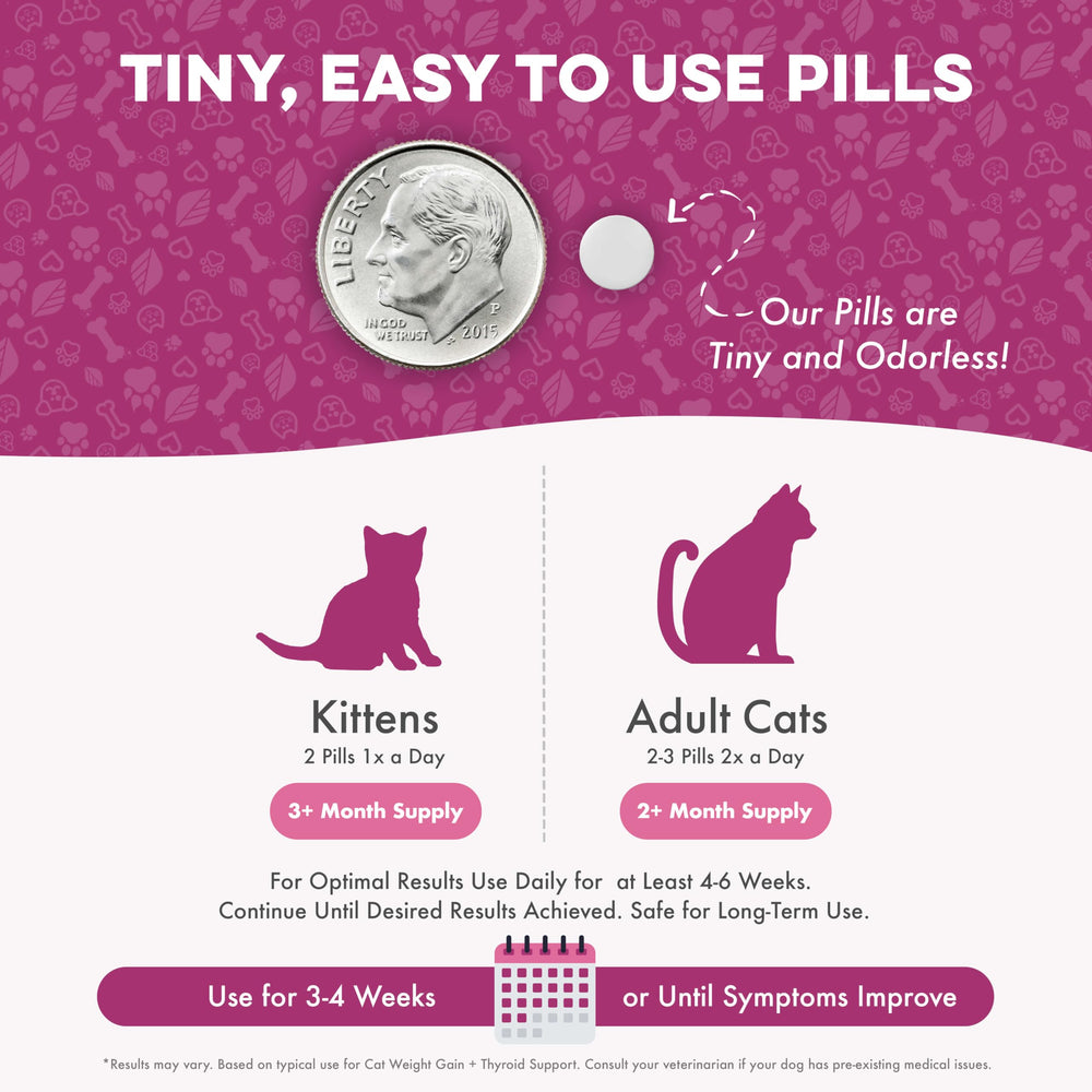 BestLife4Pets Made-in-USA label on bottle signals quality.