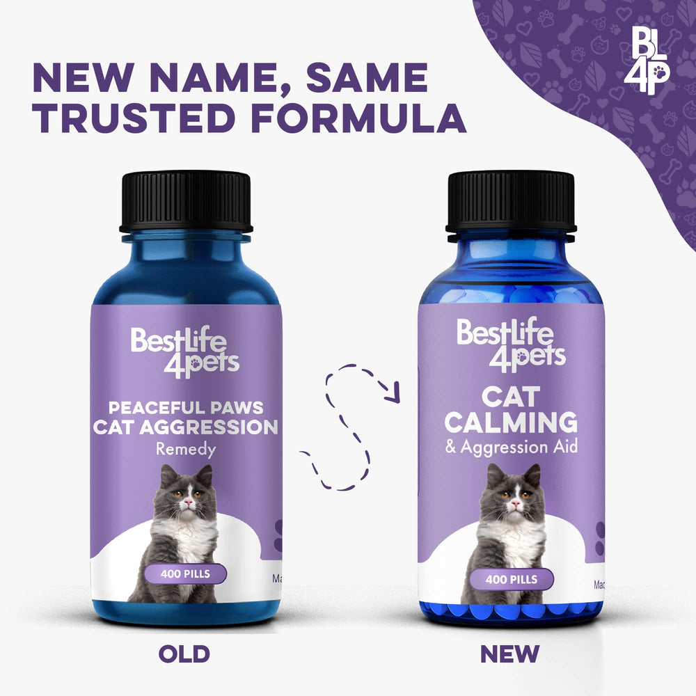 Peaceful Paws cat pills placed in a treat to ease stress naturally
