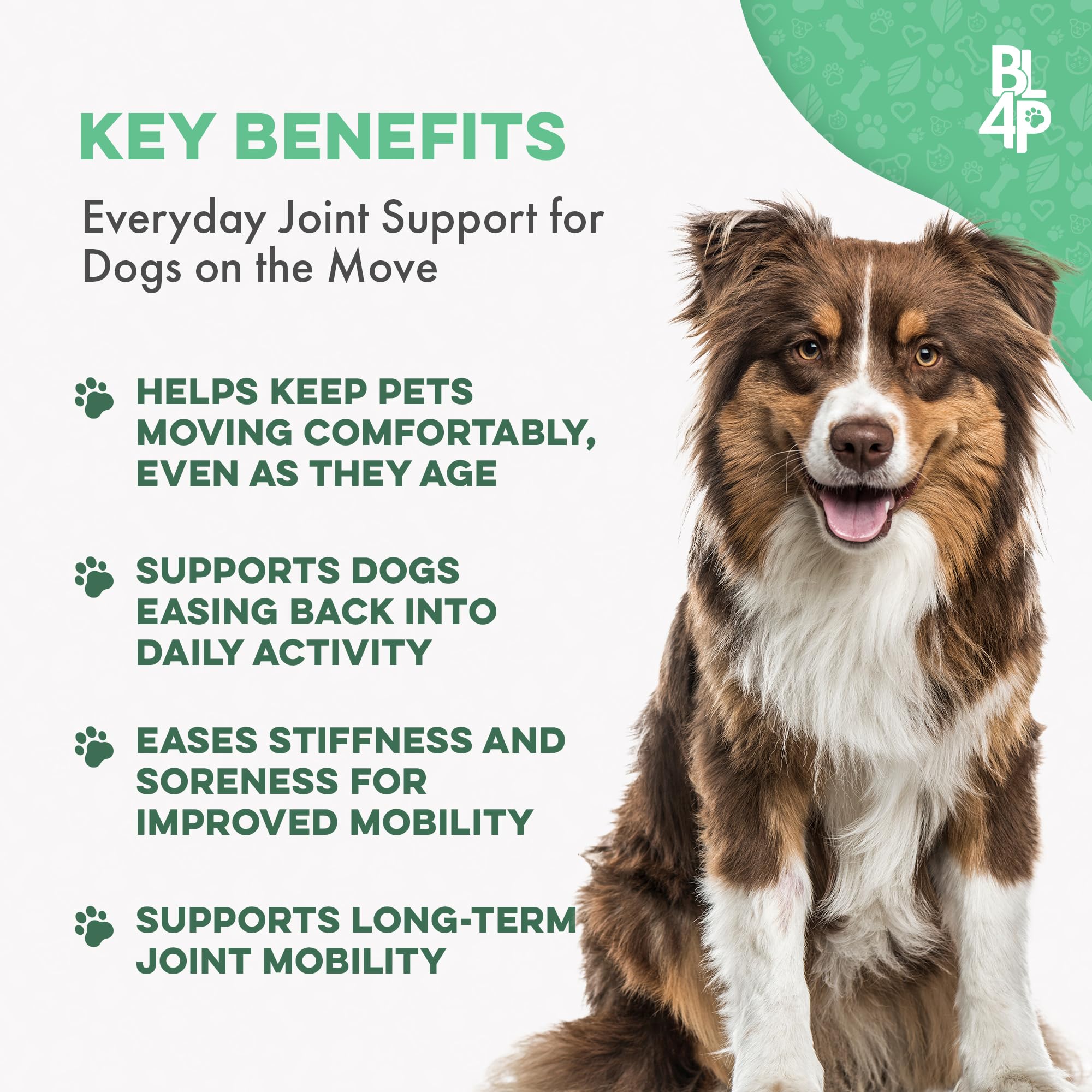 BestLife4Pets pill closeup showing tiny tasteless pills easy to mix