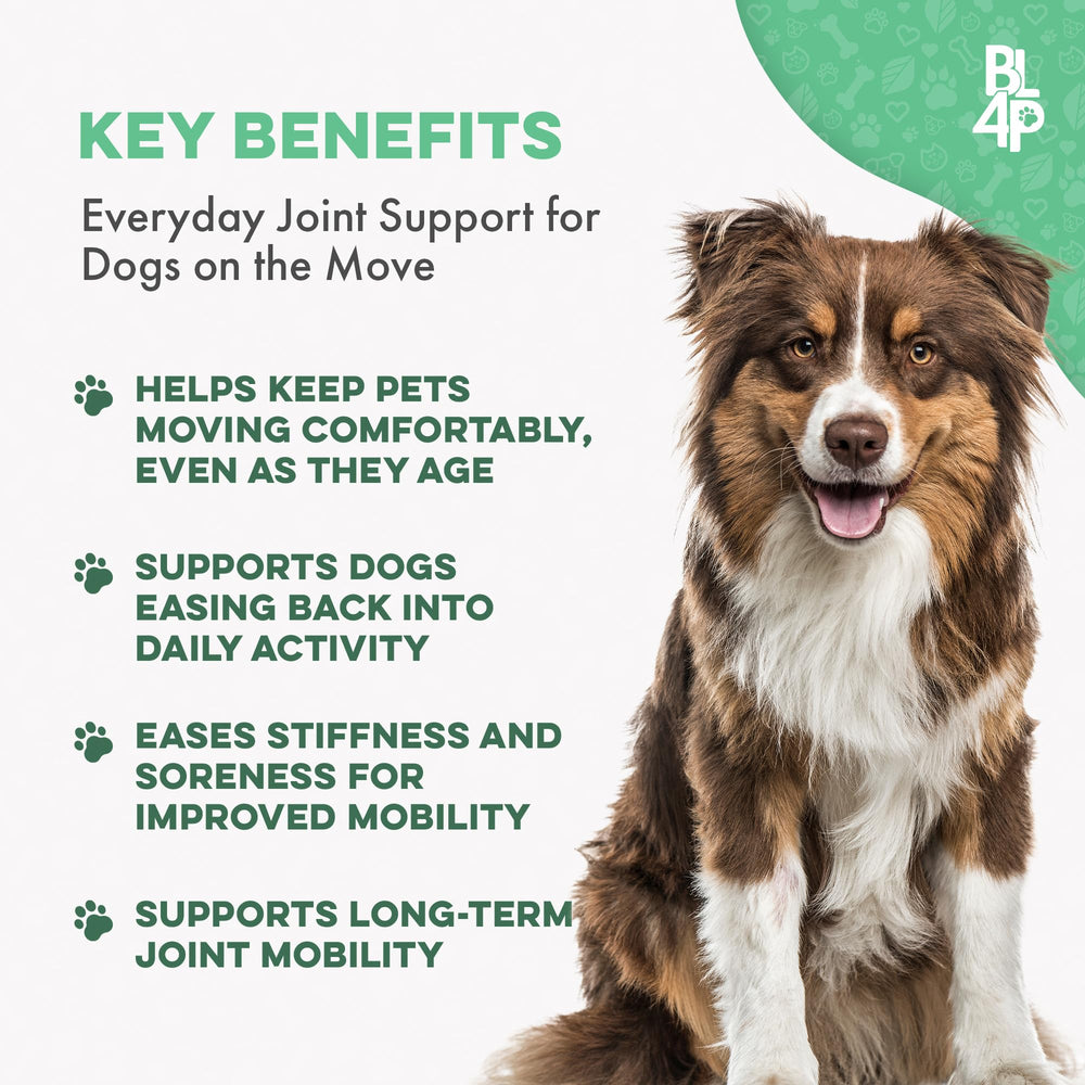 BestLife4Pets pill closeup showing tiny tasteless pills easy to mix