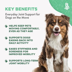 BestLife4Pets pill closeup showing tiny tasteless pills easy to mix