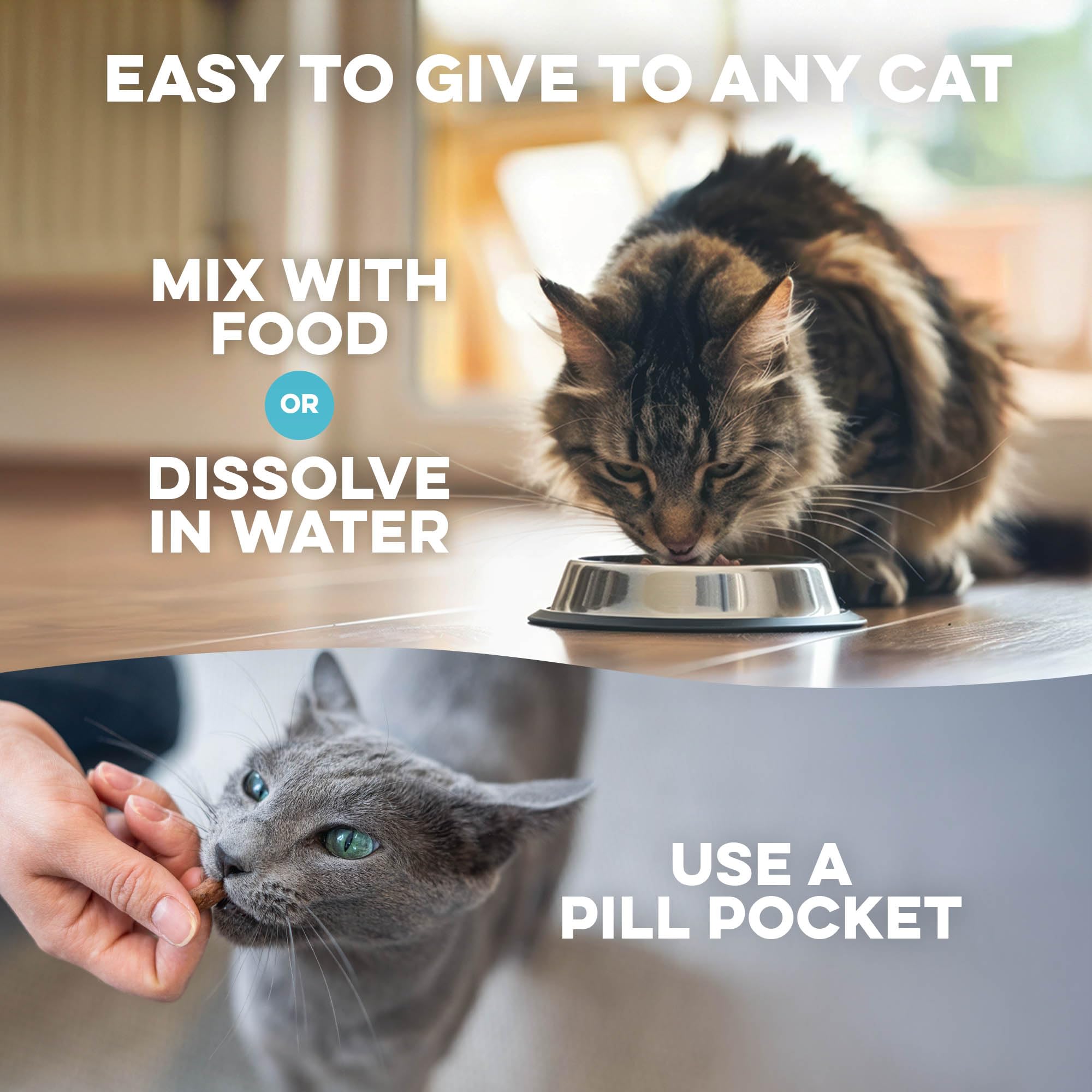 BestLife4Pets plant-based eye health formula supporting feline wellness.