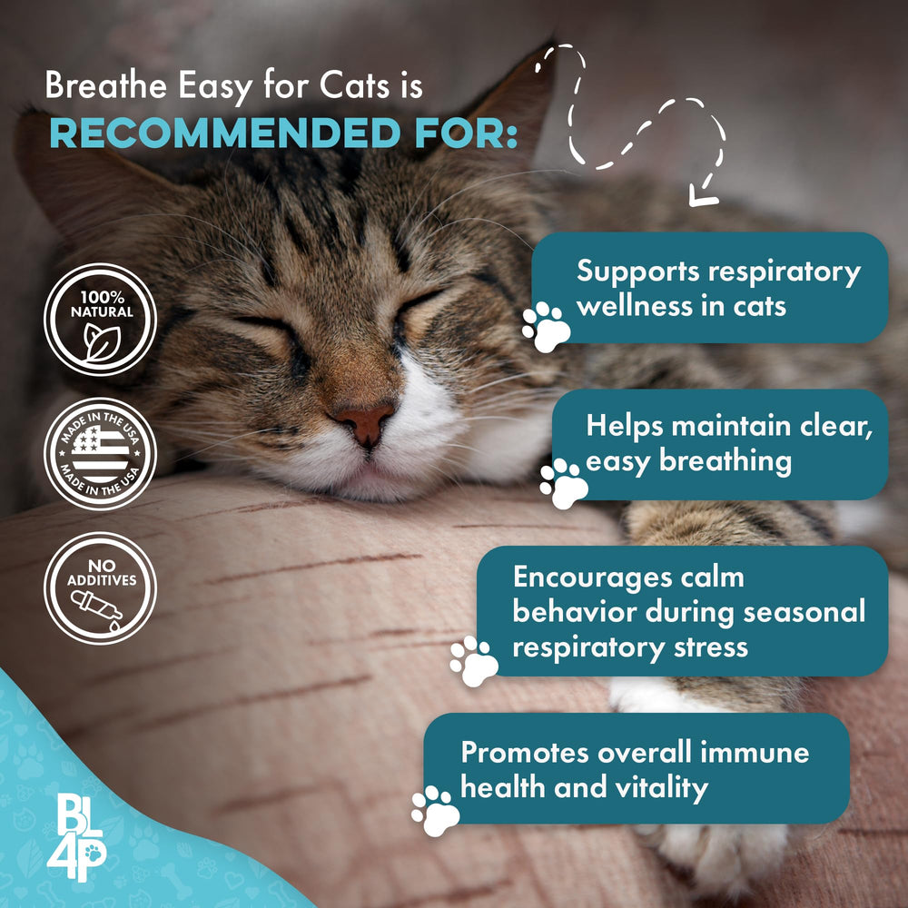 BestLife4Pets seasonal respiratory support conveys all-season convenience.