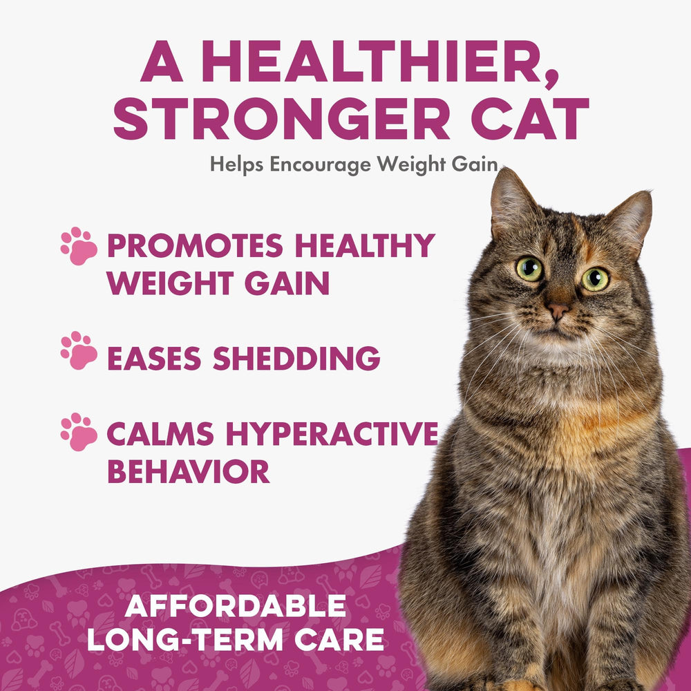 BestLife4Pets senior cat coat care capsules support a healthy shine.