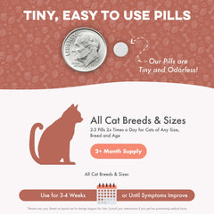 BestLife4Pets skin-coat-health pills, promotes healthier fur and reduced irritation.