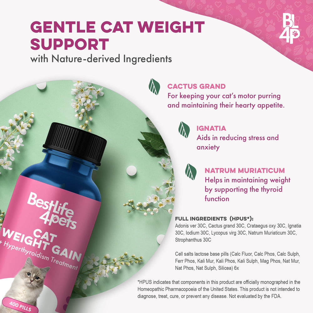 BestLife4Pets underweight kitten eating scene highlights appetite support.