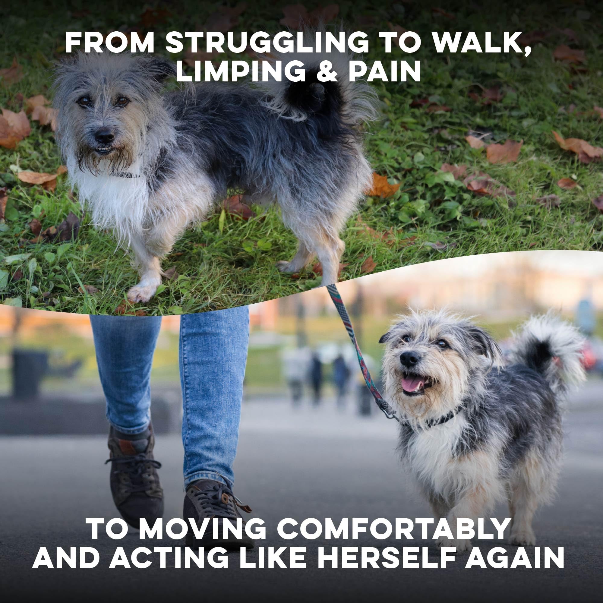 BestLife4Pets Walk-Easy bottle back with dosage tips for daily use