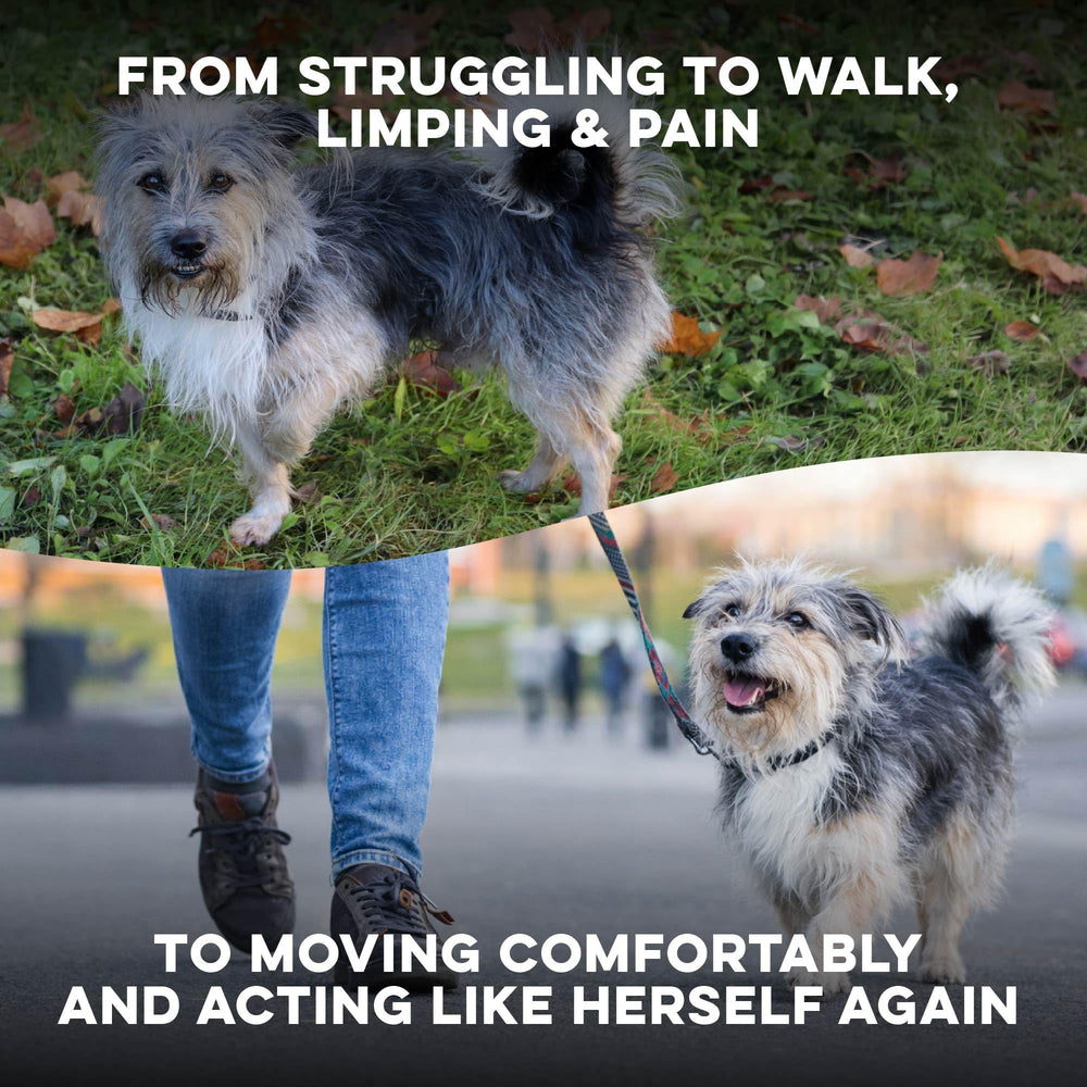 BestLife4Pets Walk-Easy bottle back with dosage tips for daily use