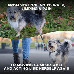 BestLife4Pets Walk-Easy bottle back with dosage tips for daily use